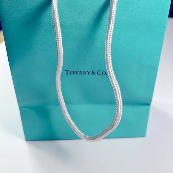 Tiffany & Co. Blue Shopping Gift Bag Authentic Luxury Packaging wit Rope Handles - Picture 4 of 9